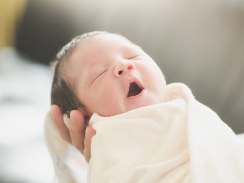 Bộ sưu tập cotton 4 chiều cao cấp